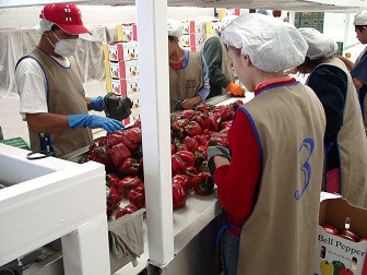 Rentabilidad en la Agricultura